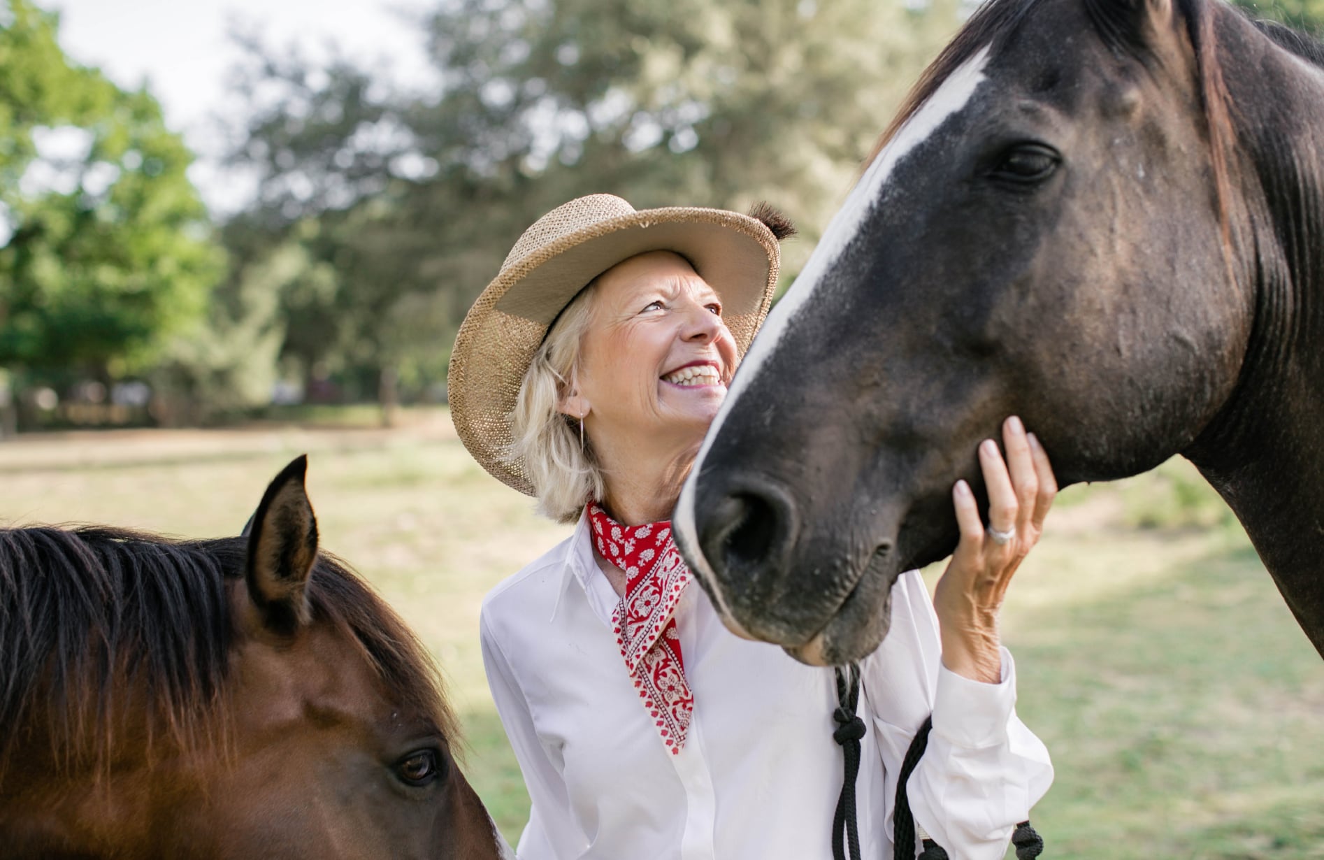 person petting two horses