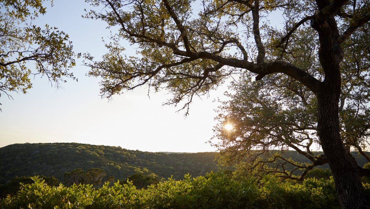 sun peaking through trees and view of landscape