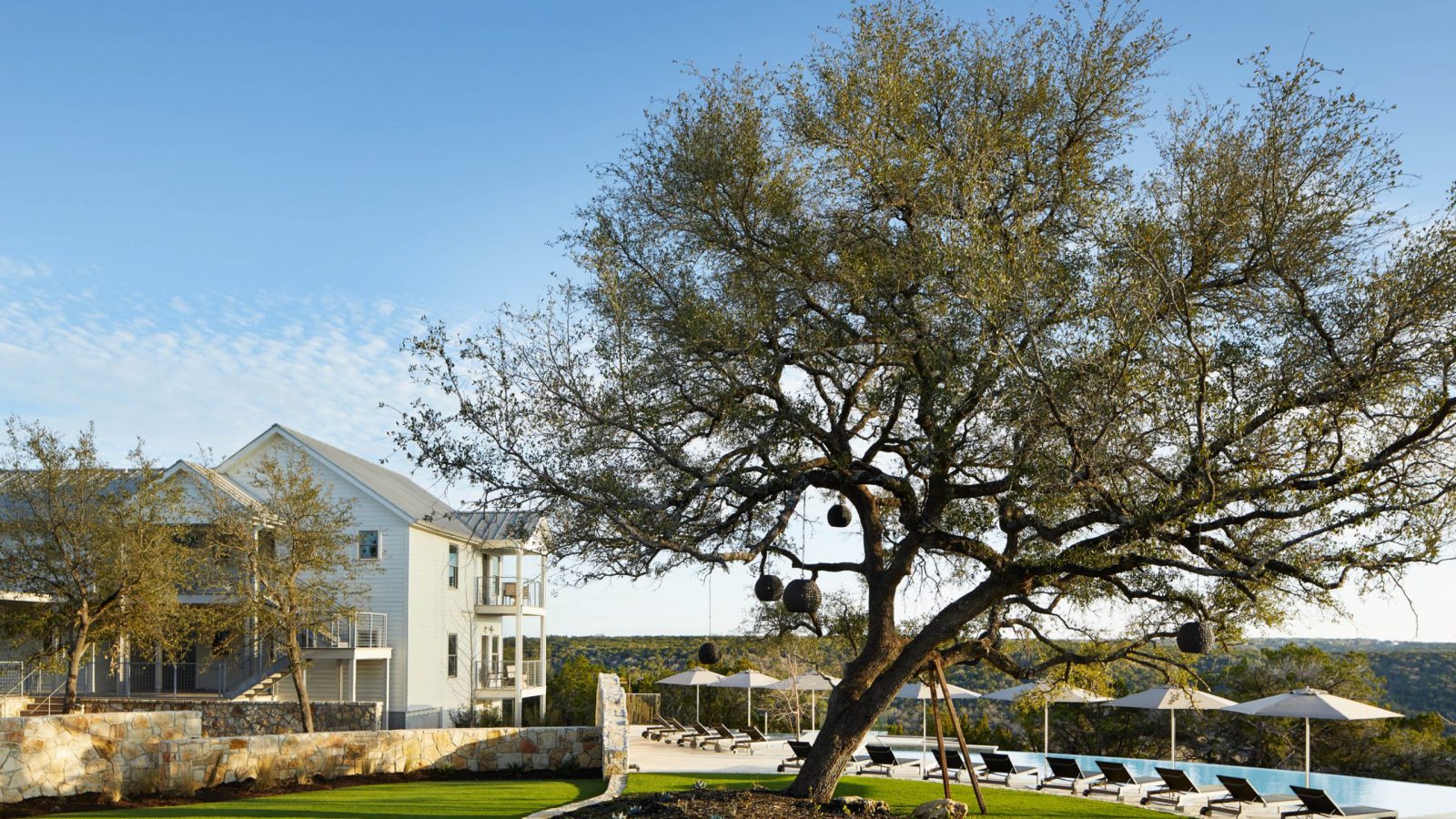Large tree beside pool and lounge chairs and building
