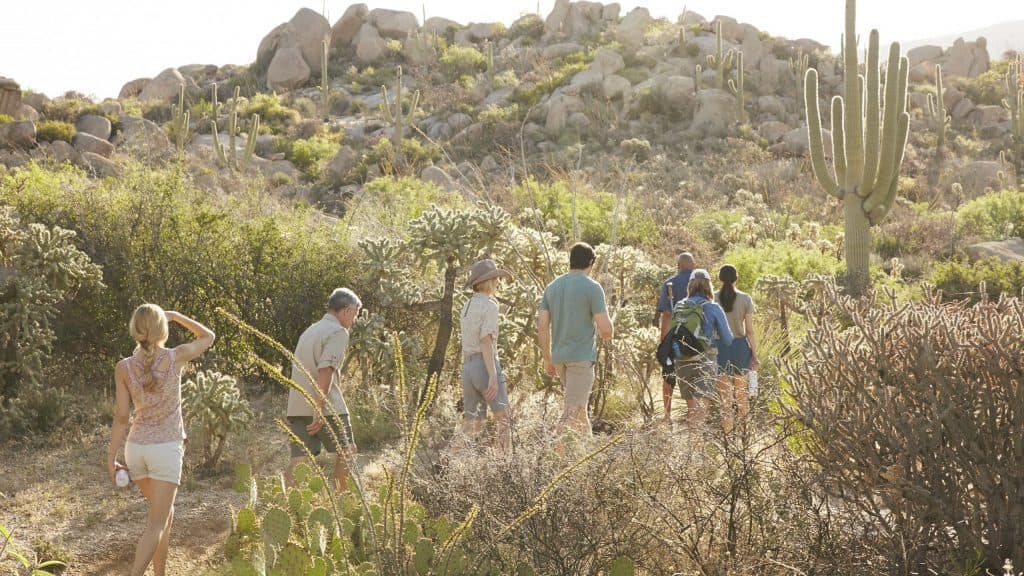group of people walking in the heat with cacti