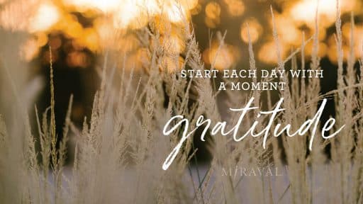 screensave image of text that says Start each day with a moment gratitude