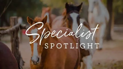 Specialist spotlight logo