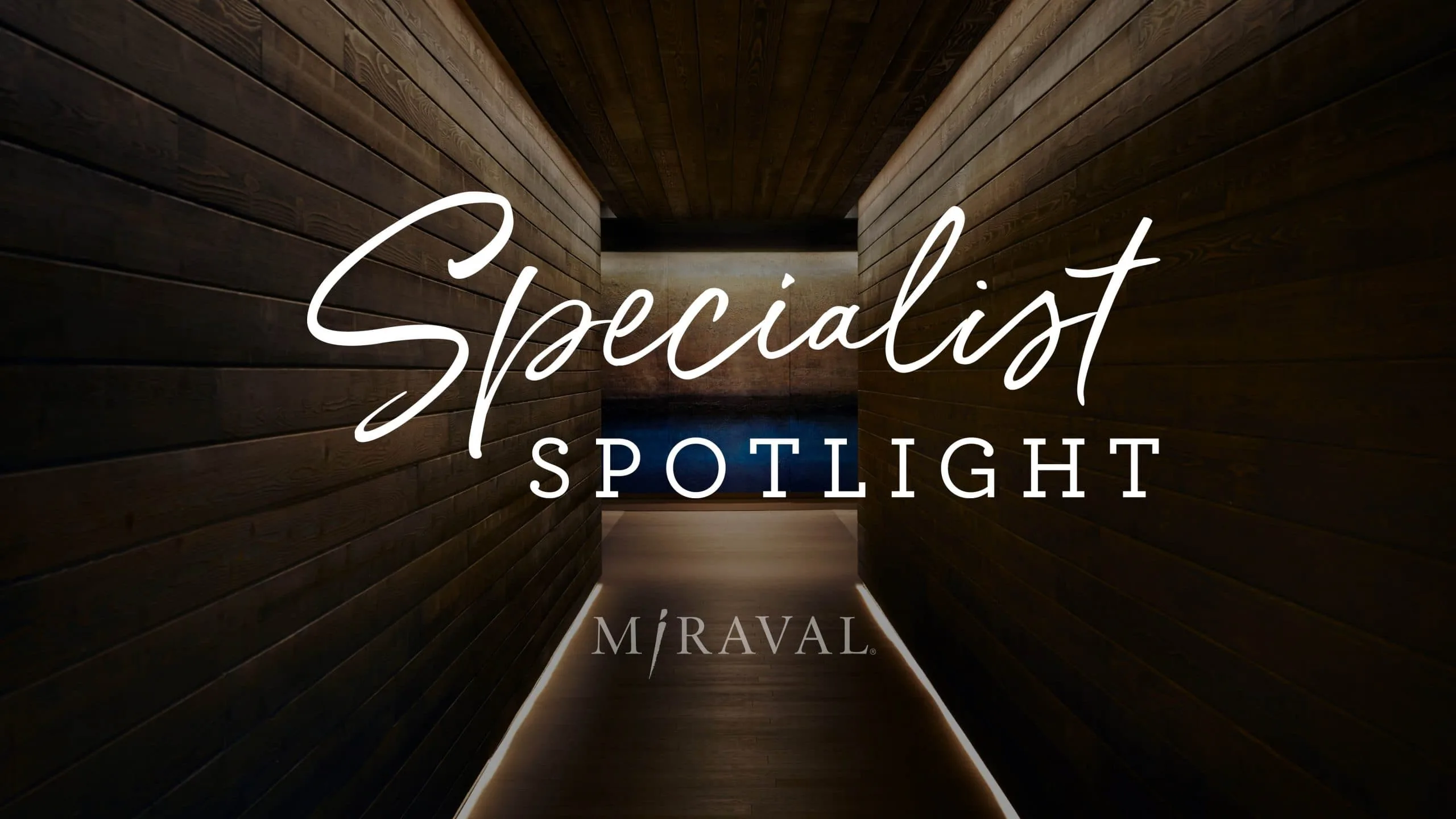 Specialist spotlight logo
