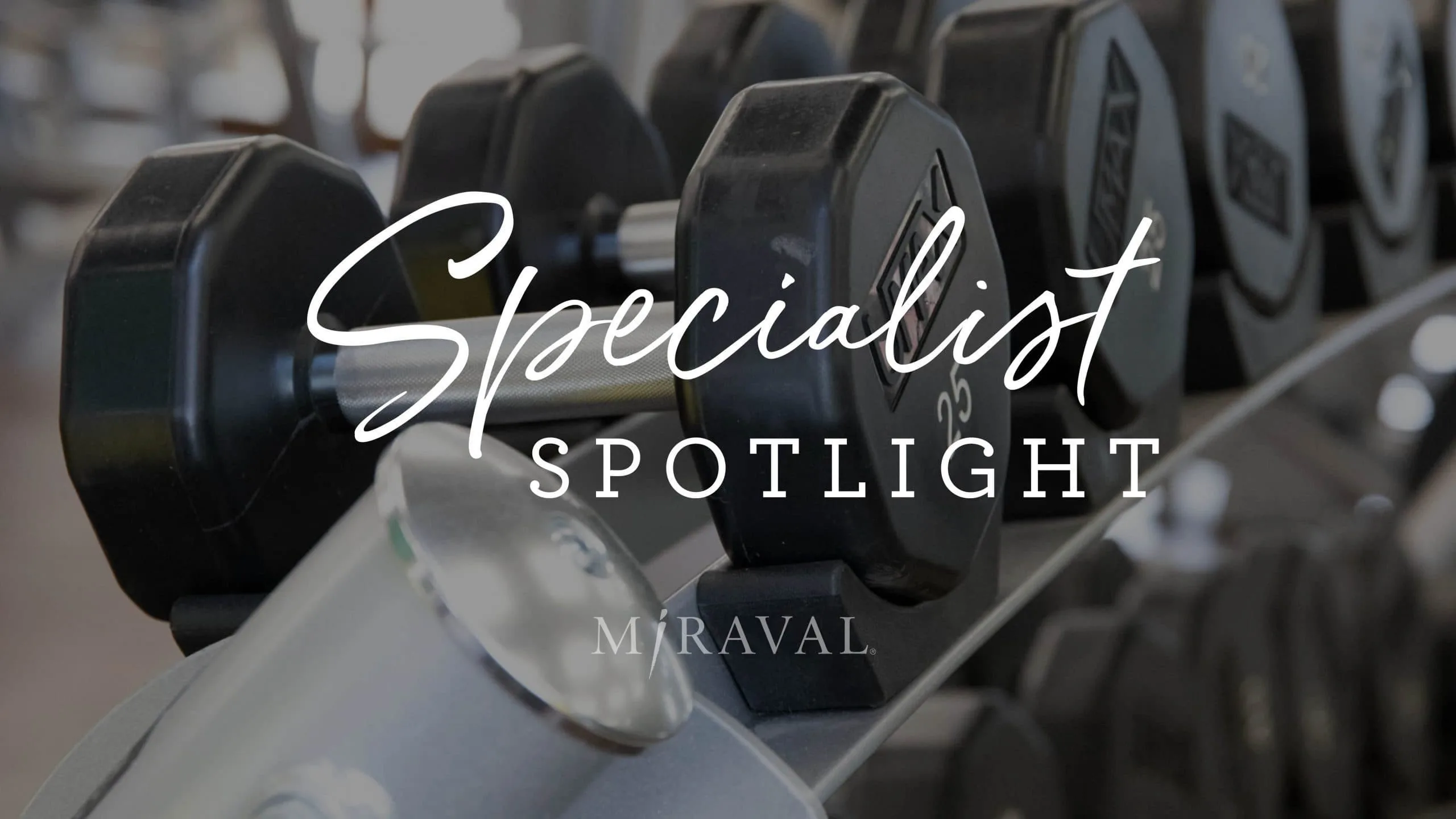 Specialist spotlight logo