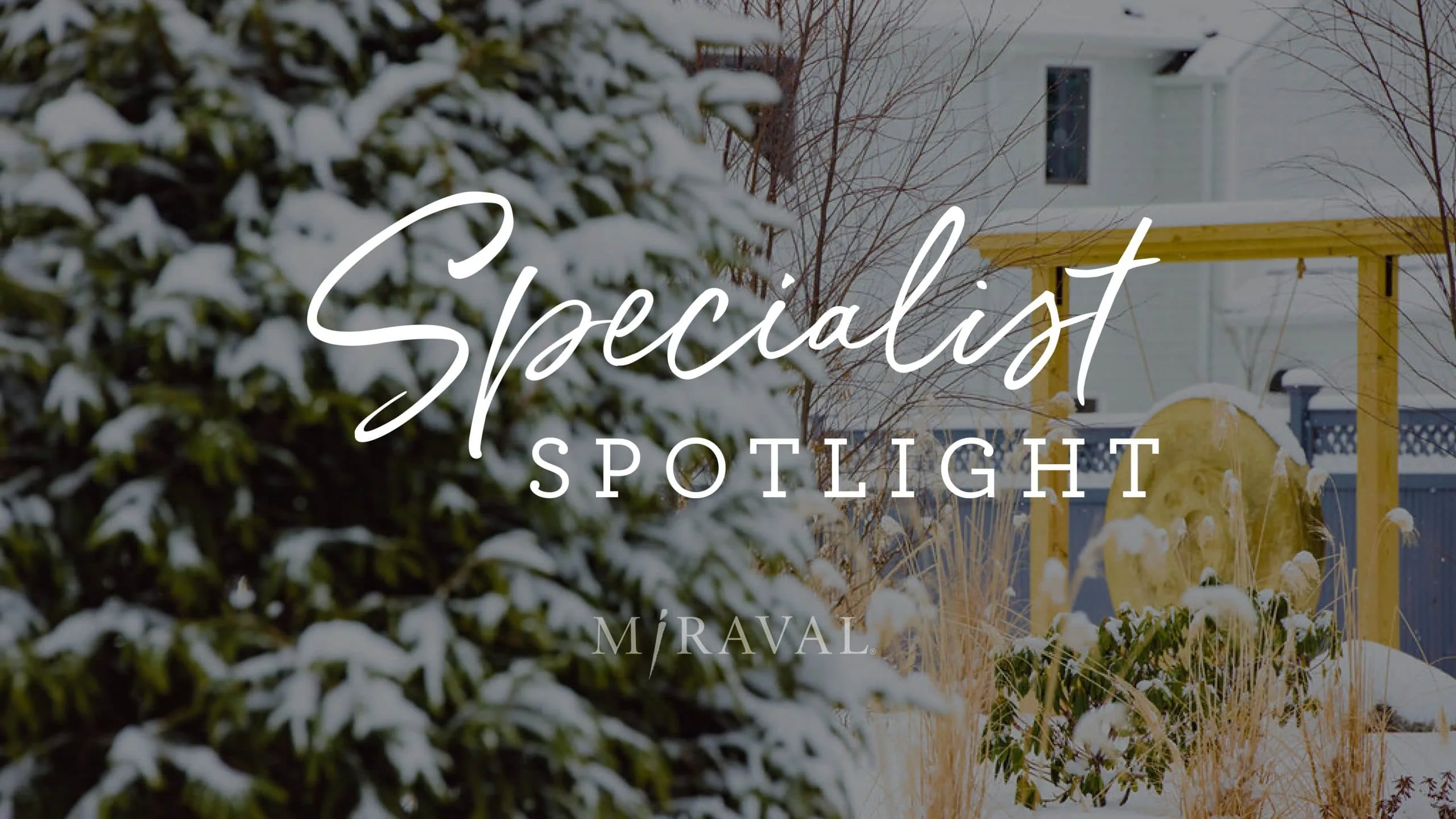 Specialist spotlight logo