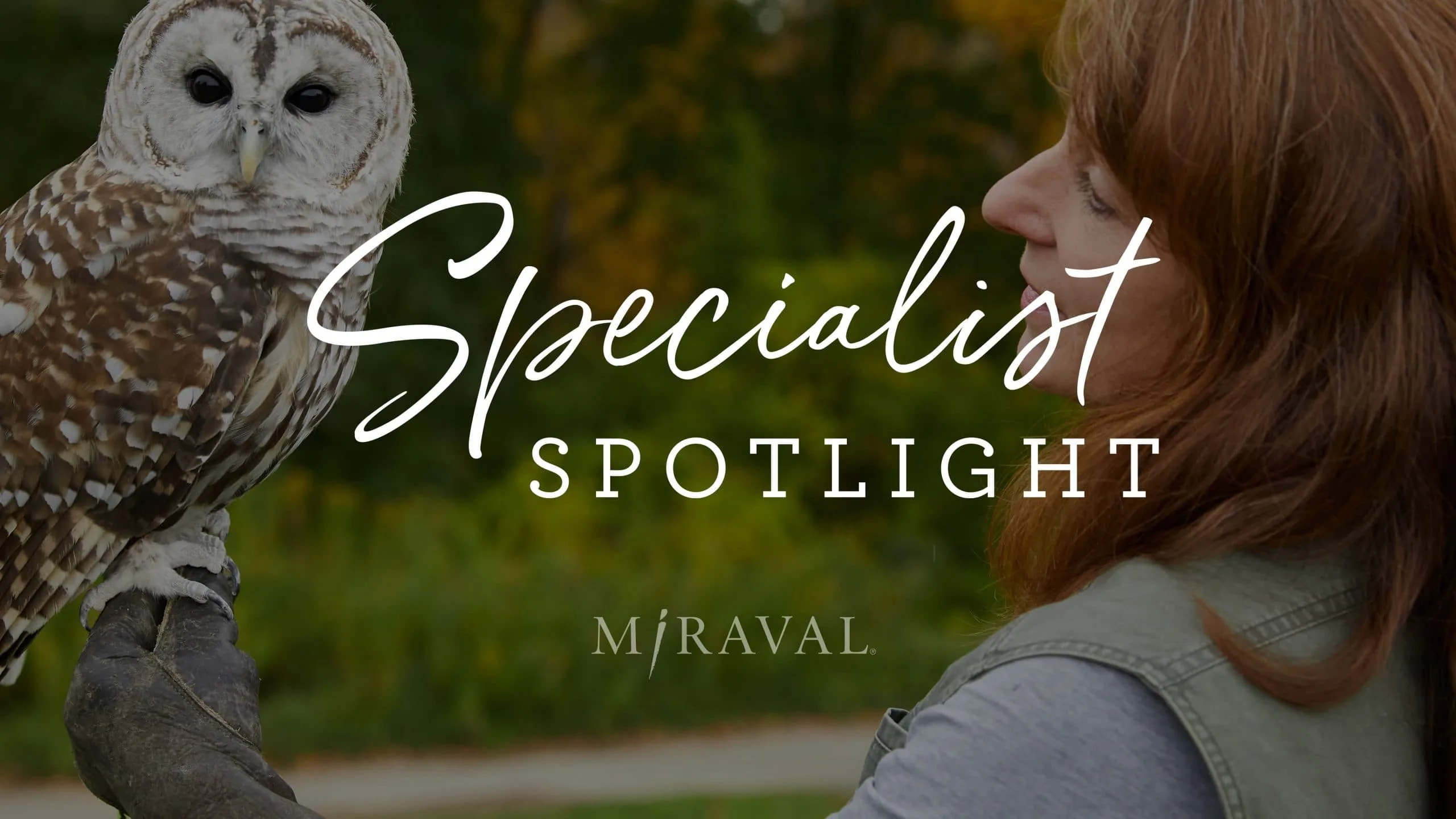 Specialist spotlight logo