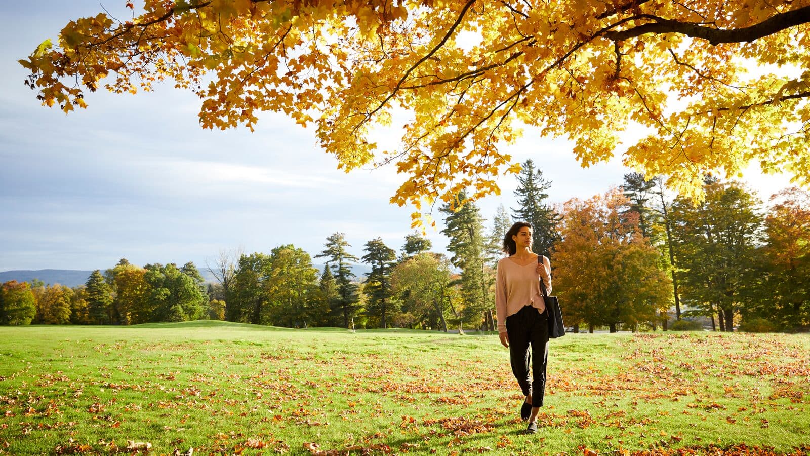 Person walking on a field with fallen yellow leaves