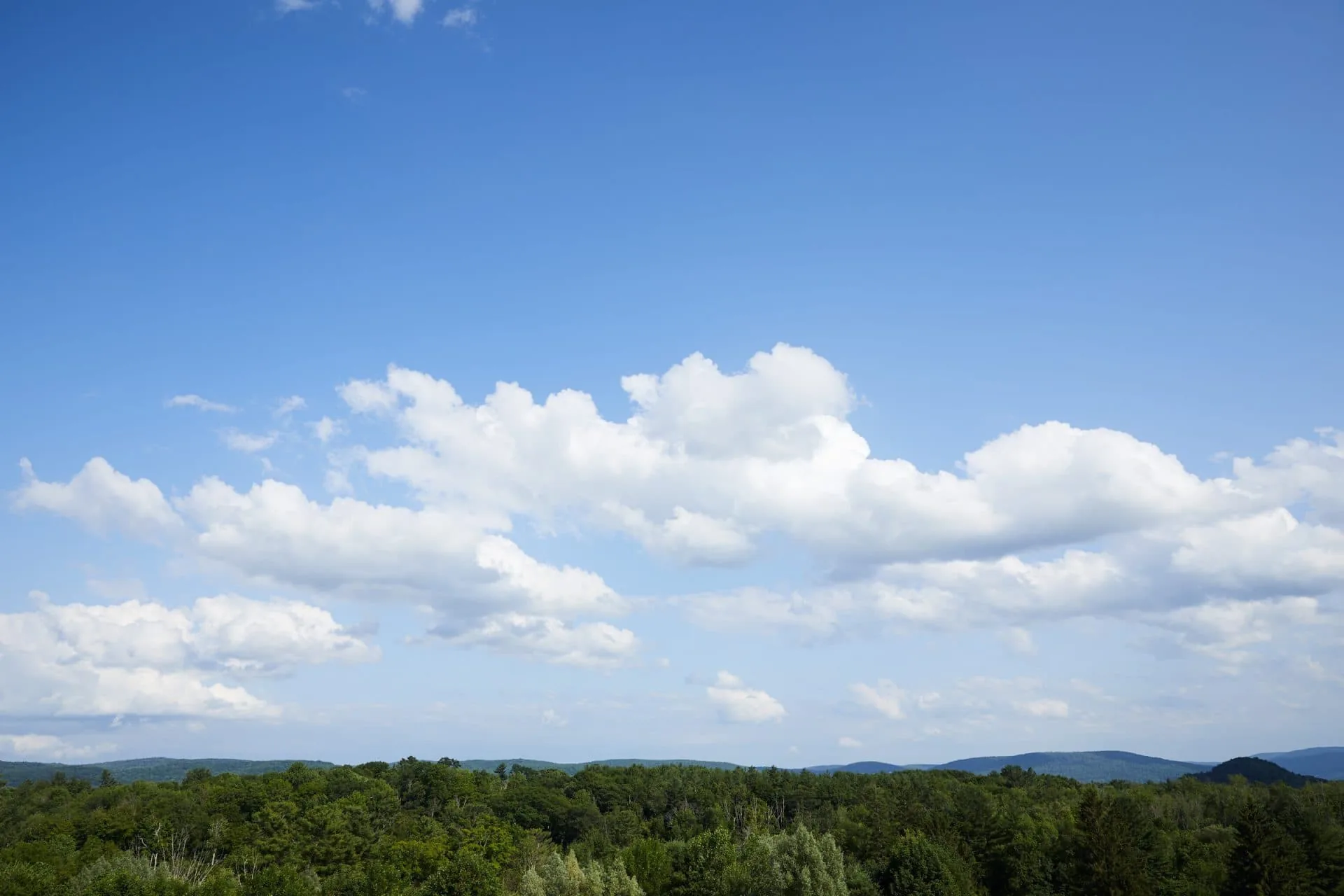 Aerial view of forrest with blue sky and clouds