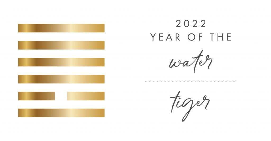 Year of the tiger 2022 graphic