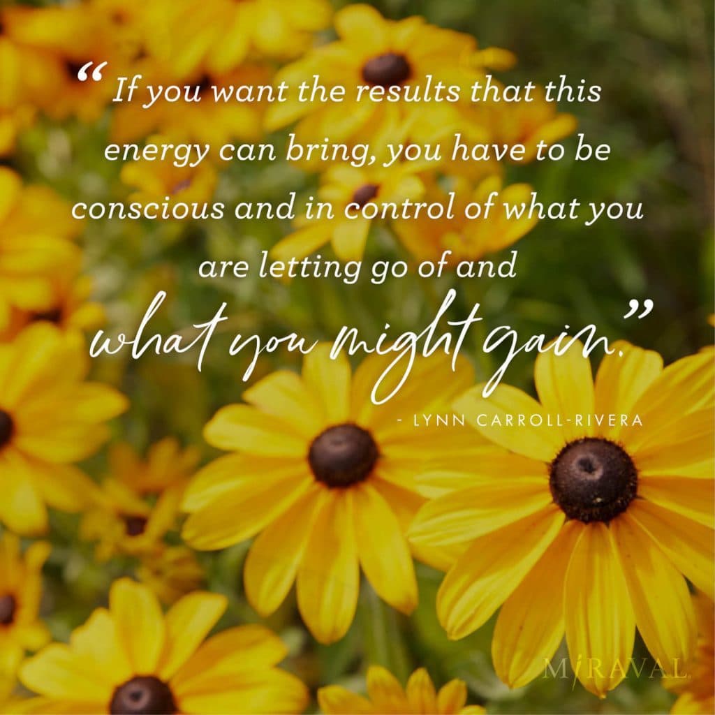 Digital quote about with yellow flowers in background