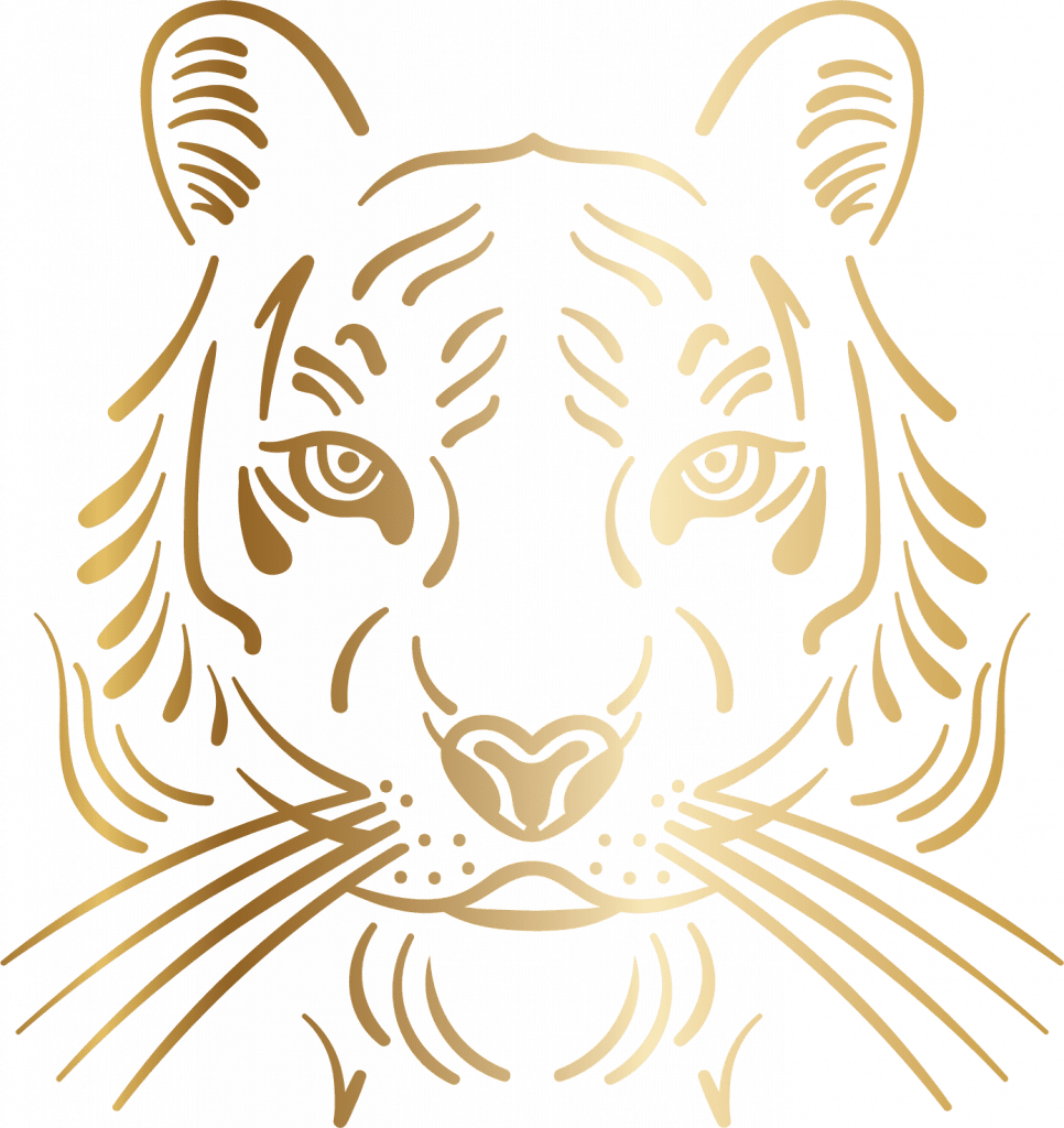 Tiger Illustration