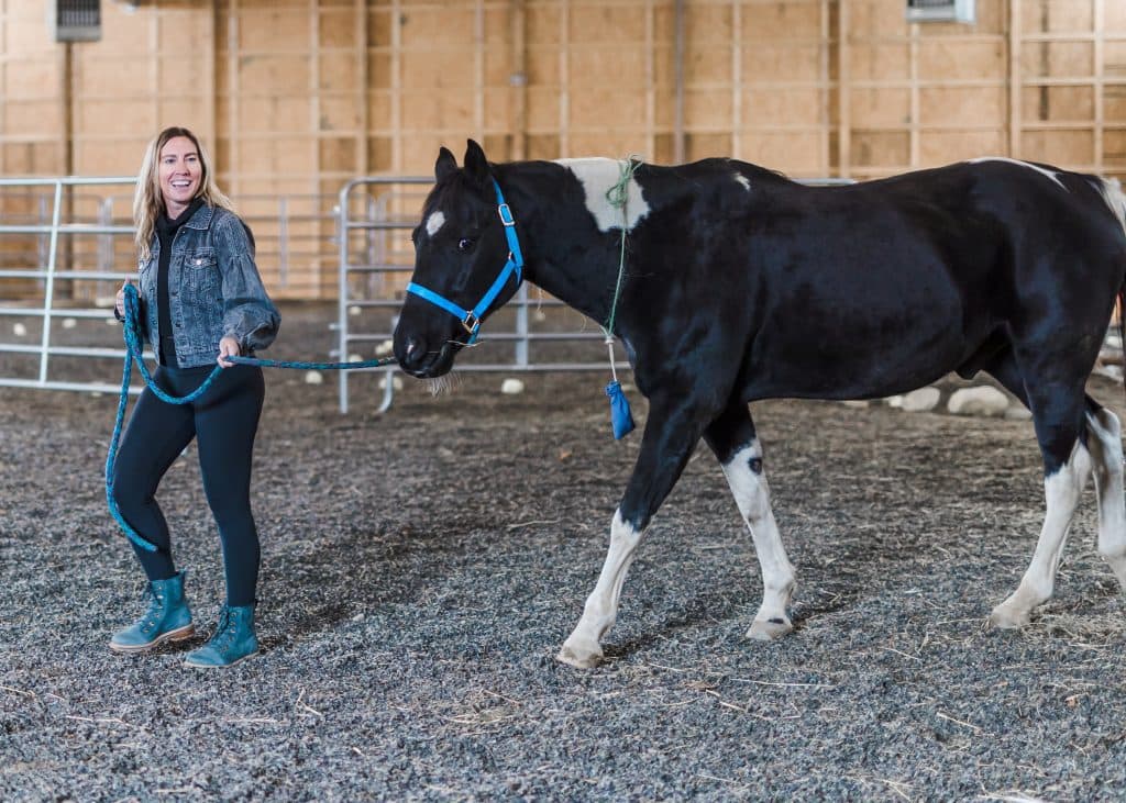 woman with black horse walking in riding hall