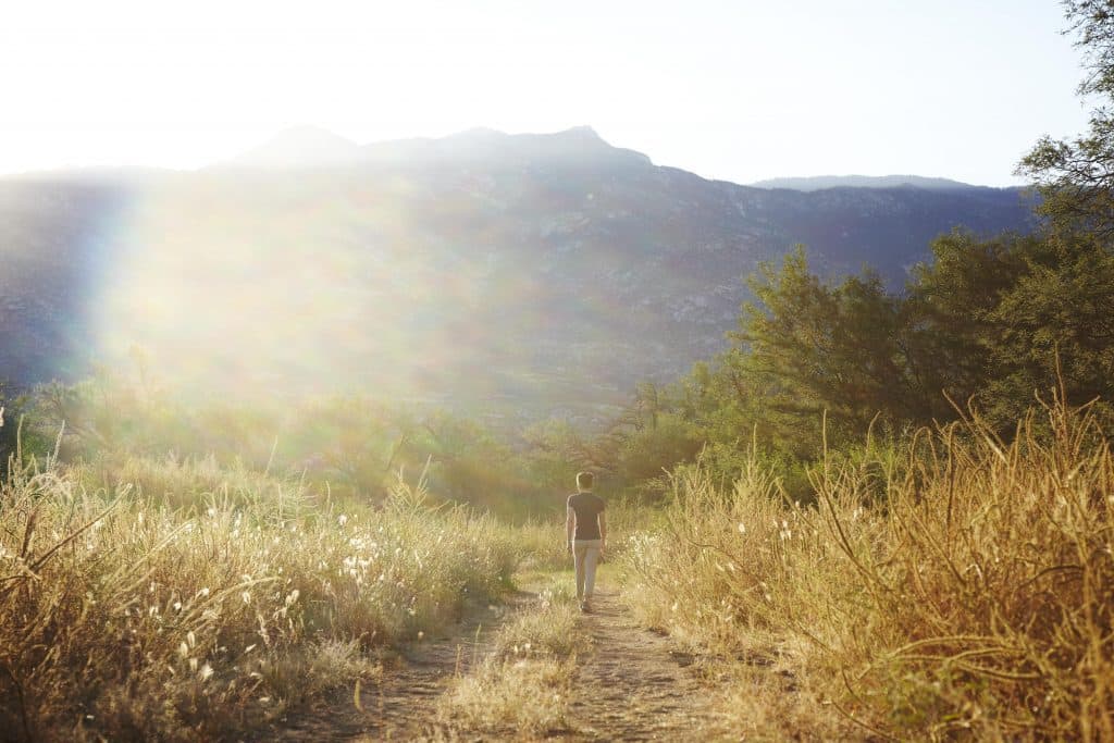 person walking in nature towards mountains